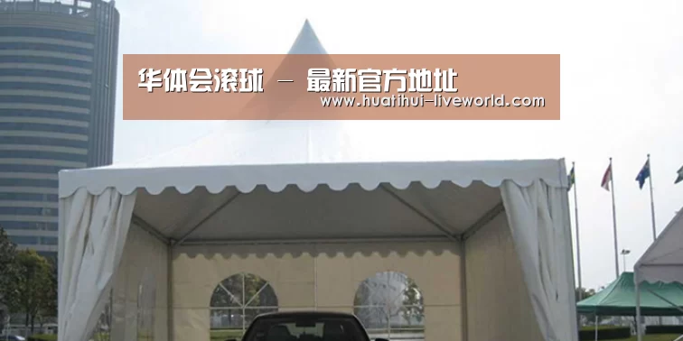 案例标题八