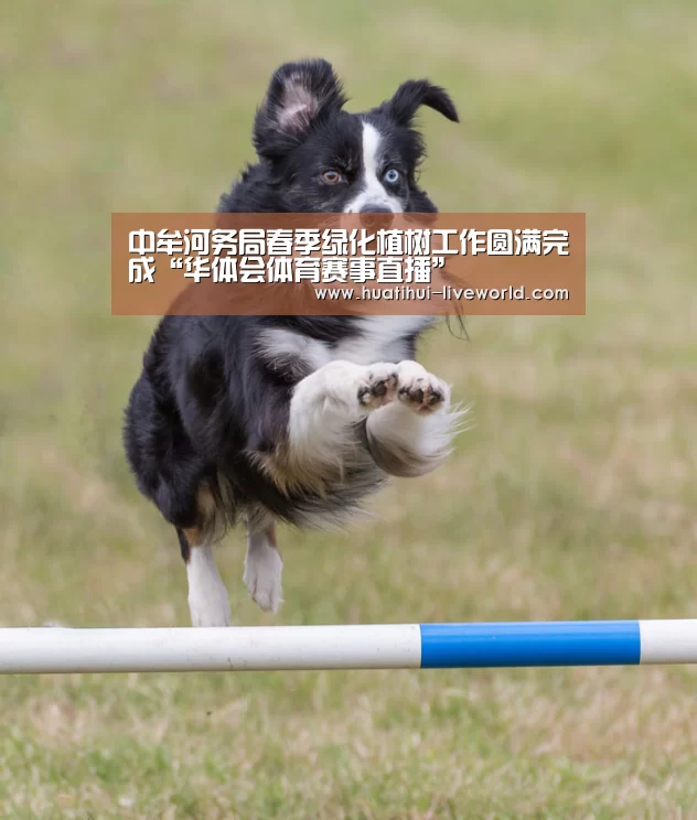 中牟河务局春季绿化植树工作圆满完成“华体会体育赛事直播”(图2) 华体会体育娱乐平台
