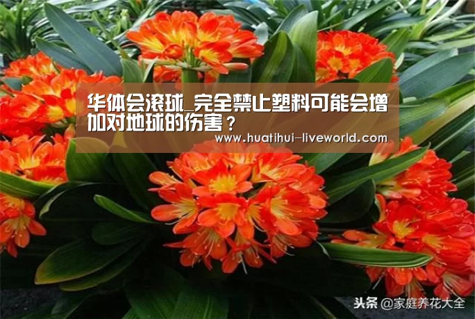 华体会滚球_完全禁止塑料可能会增加对地球的伤害?