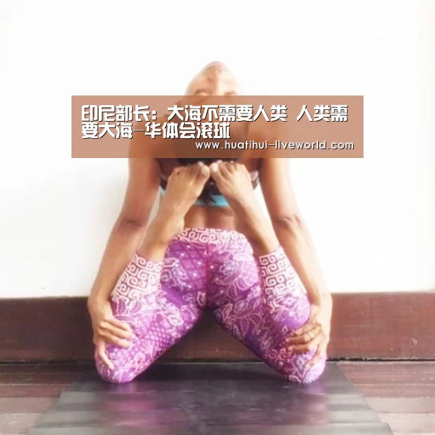 华体会滚球