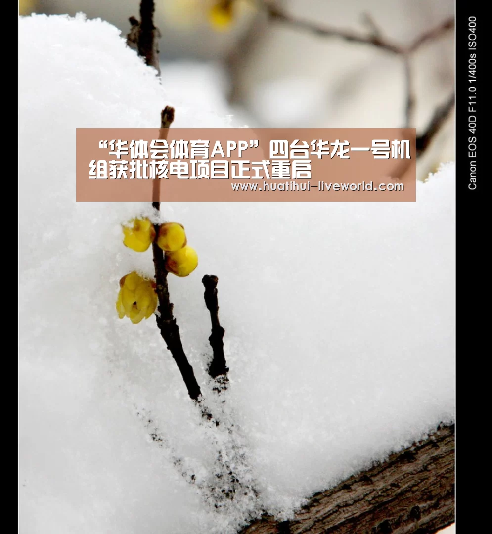 “华体会体育APP”四台华龙一号机组获批核电项目正式重启