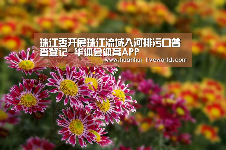 华体会滚球