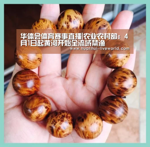 华体会体育赛事直播|农业农村部:4月1日起黄河开始全流域禁渔(图1) 华体会体育娱乐平台