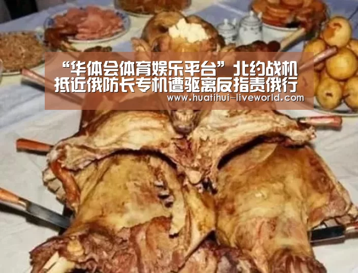 “华体会体育娱乐平台”北约战机抵近俄防长专机遭驱离反指责俄行动不安全(图3) 华体会体育赛事直播