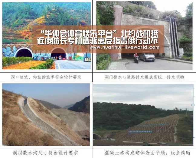 “华体会体育娱乐平台”北约战机抵近俄防长专机遭驱离反指责俄行动不安全(图2) 华体会滚球