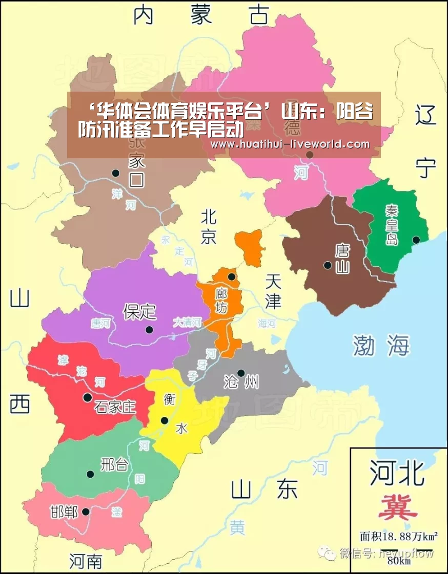 华体会体育APP